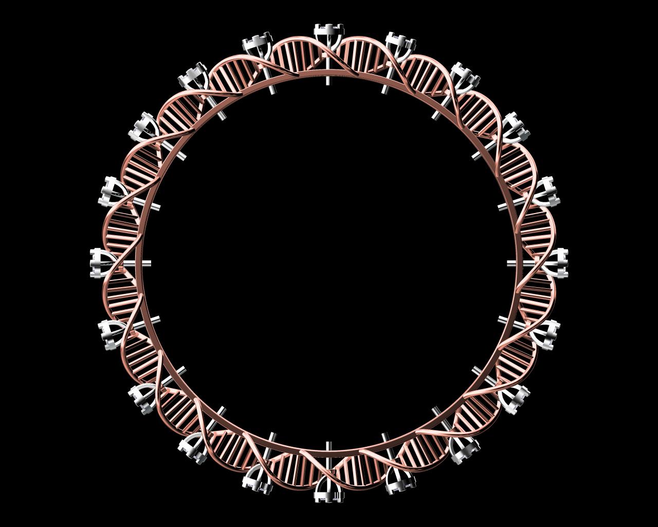 AD12168-ALT