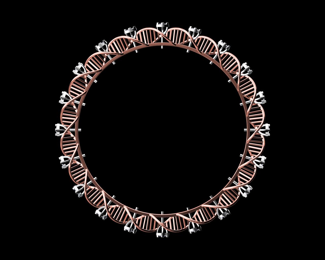 AD12168-ALT1