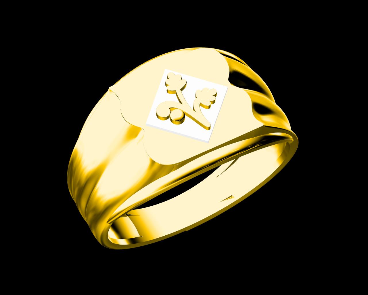 AD17848 — Gents Rings jewellery CAD design (JCD/STL)
